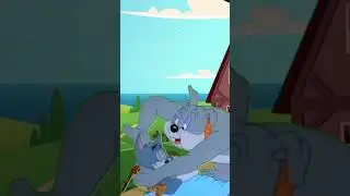 Tom and Jerry, comedy cartoon show#yshorts #shortvideo #shorfeed