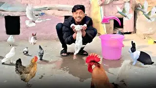 Candy Ko Garam Pani Say Nila Diya 😺👀
