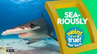 Sea-riously? | Weird But True!&mdash;Fast Facts