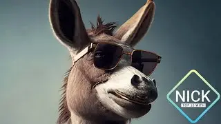 TOP 10 FACTS ABOUT DONKEYS