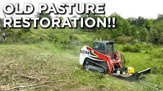 Converting Old Pasture To Native Grasses For Cattle And Wildlife!!