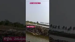 🙏కొల్లేరు చెరువులు చాలా మందికి జీవనాధారం #village#farmer#yt#trending#viral#