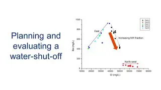 Field case study series - 4. Planning and evaluating a water-shut-off.