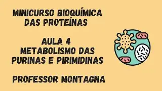AULA 4 - MINI CURSO BIOQU&Iacute;MICA DAS PROTE&Iacute;NAS - PURINAS E PIRIMIDINAS PROFESSOR MONTAGNA