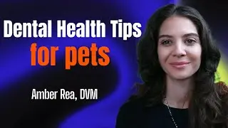 🪥YIKES! What to do about Dental disease in pets