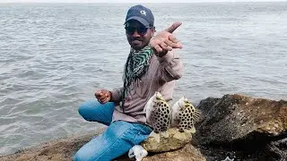 Do DarYa Best Fishing Point of Karachi Full 50 Fishing