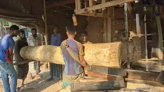 Toughest Wood Cutting Jobs in World|| Dangerous Wood Cutting Sawmill Jobs|| Dangerous Works BD