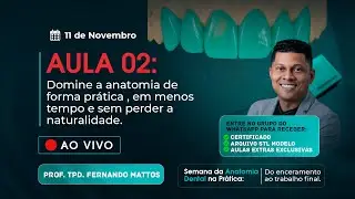 Aula 02 - Domine a anatomia de forma pr&aacute;tica , em menos tempo e sem perder a naturalidade.