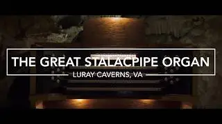 The Largest Musical Instrument in the World is in Virginia!