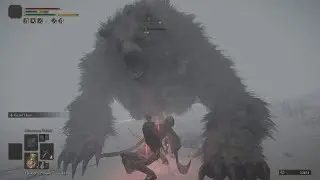 Consecrated Snowfield Runebear (Raptor's favorite enemy) - [RL1]