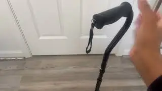 Watch Before You Buy: HONEYBULL Walking Quad Cane