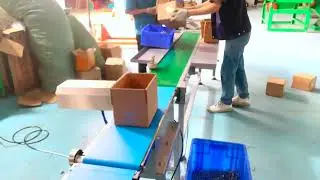 Nail Packaging Line | 0.5-25 kg Short and Long Nails Arrangement, Sorting, and Boxing Packaging Line