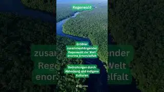 #regenwald #rainforest #amazonas