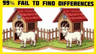 🤯CAN YOU FIND THE DIFFERENCE,(Brain Teaser Challenge!) | CHALLENGE YOUR MIND