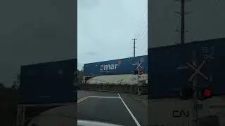 CARGO TRAIN ✅