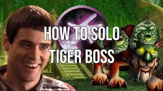 How to Solo Thekal as a Warlock - Tiger Mount