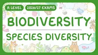 A-Level Biology - Biodiversity: Species Diversity | Species Richness & Evenness (2026/27 exams)