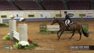 2022 Farnam AQHA and Adequan Select World Amateur Working Hunter
