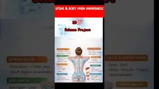 How Your Spine Supports the Whole Body | Pain Awareness | SPINE & BODY PAIN AWARENESS
