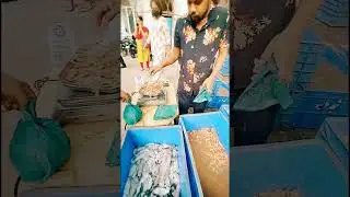 kopri fish market Thane East