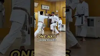 How One Axis Turns Back-Leg Force Into Punch Power