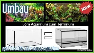 Anleitung Umbau - Aquarium zum Terrarium [für wenig Geld]