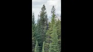 2023 Season Highlights - Sunwapta River - Maligne Rafting, Jasper National Park