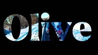 Blue Olive Branch trailer 1 : OLIVE 