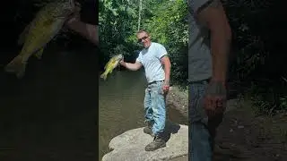 live action
