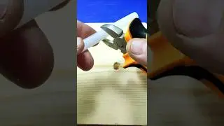 How to easily install a screw in a loose wood hole? #CarpentryTricks #DIY
