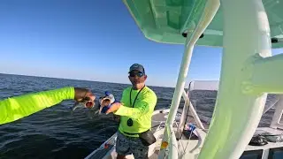 1st trout trip of the season in Venice, LA 💥 Pt.1 —👀 Stay tuned for Pt.✌️ for some offshore action 🌊