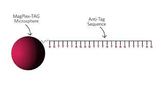 xTAG Technology Overview