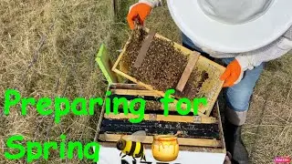 Spring beekeeping prep 2025  🐝🇦🇺🌻 #bee #savethebees #beekeeping #aussie