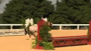 Video of GRAND JETE' ridden by TESSA DOWNEY from ShowNet!