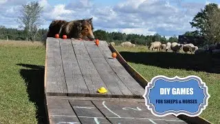 DIY games - Tomato run