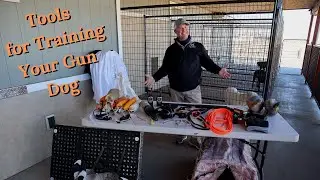 Best Gear for Training Your Gun Dog