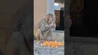 Nasirabad railway station video please subscribe🙏🙏🙏