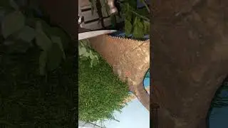How to Sharpen a Saw with Zero Experience  🪚