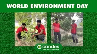 Candes| World Environment Day | World Environment Day 2022| Environment Day | Planting Tree Video