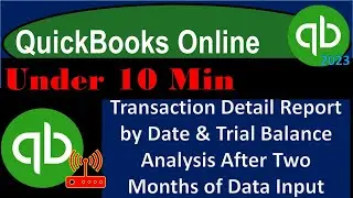Transaction Detail Report by Date & Trial Balance Analysis After Two Months of Data Input