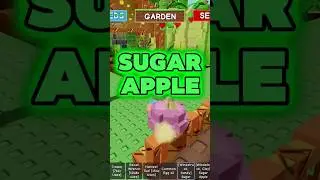 Sugar apple han #roblox #bloxfurit #gaming #growagarden#games#fyp#fypage #viral#sugar#redfox #racoon