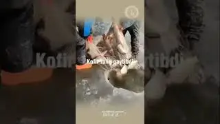 Musilman bilan kofir baliq ovga chiqipti