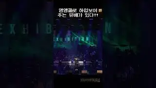 [차지연] 콘서트 앵앵콜 하입보이 #shorts