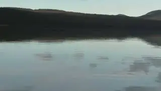 A Winter Lake in Yukon | Bare Trees & Misty Mountains | Peaceful Nature