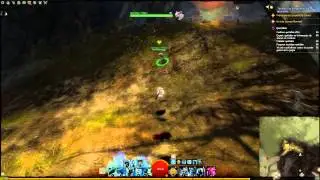 Guild Wars 2 - Casse-co&ucirc;te de Grawnk / Grawnk Munch