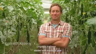 Grow Circular: Step into Organic Farming with Green Earth Organics