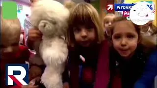 [FAKE] Zapping Kanał&oacute;w LG DVB-T2 HEVC EXP MUX JELENIA G&Oacute;RA Gdańsk (12.01.2026)