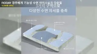 FIODAY 경추베개 기능성 수면 아이스실크 다운필