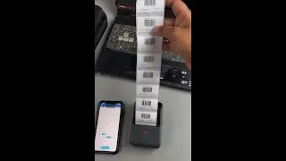 How to Import & Print Label Sequence in SEZNIK Label Printer (LD0801)? Full Guide @Seznik