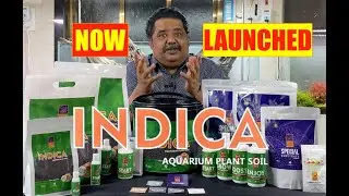 INDICA - Aquarium Plant Soil | MADE IN INDIA | Official Launch | Mayur Dev Aquascaper 4K